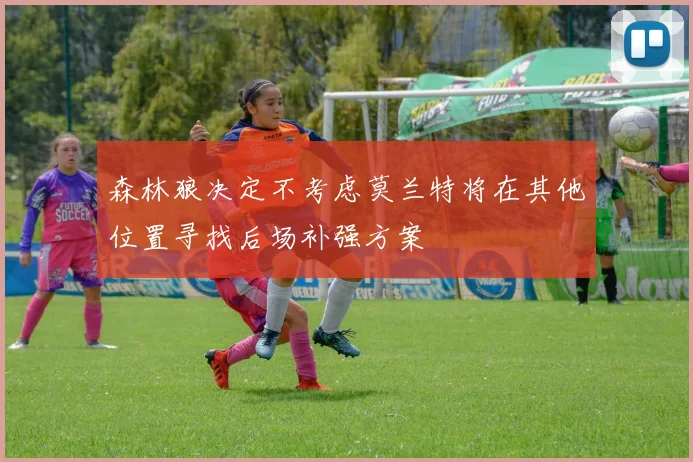 森林狼决定不考虑莫兰特将在其他位置寻找后场补强方案