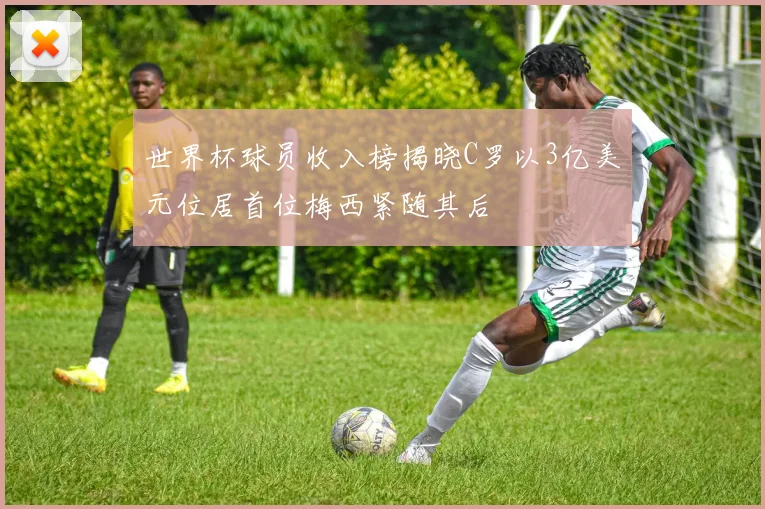 世界杯球员收入榜揭晓C罗以3亿美元位居首位梅西紧随其后